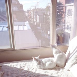 白丝女生被曹网址
